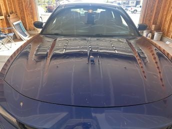 Hail Damaged Hood